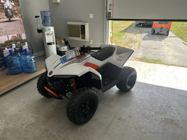 2024 CFMOTO CFORCE 110 ATV